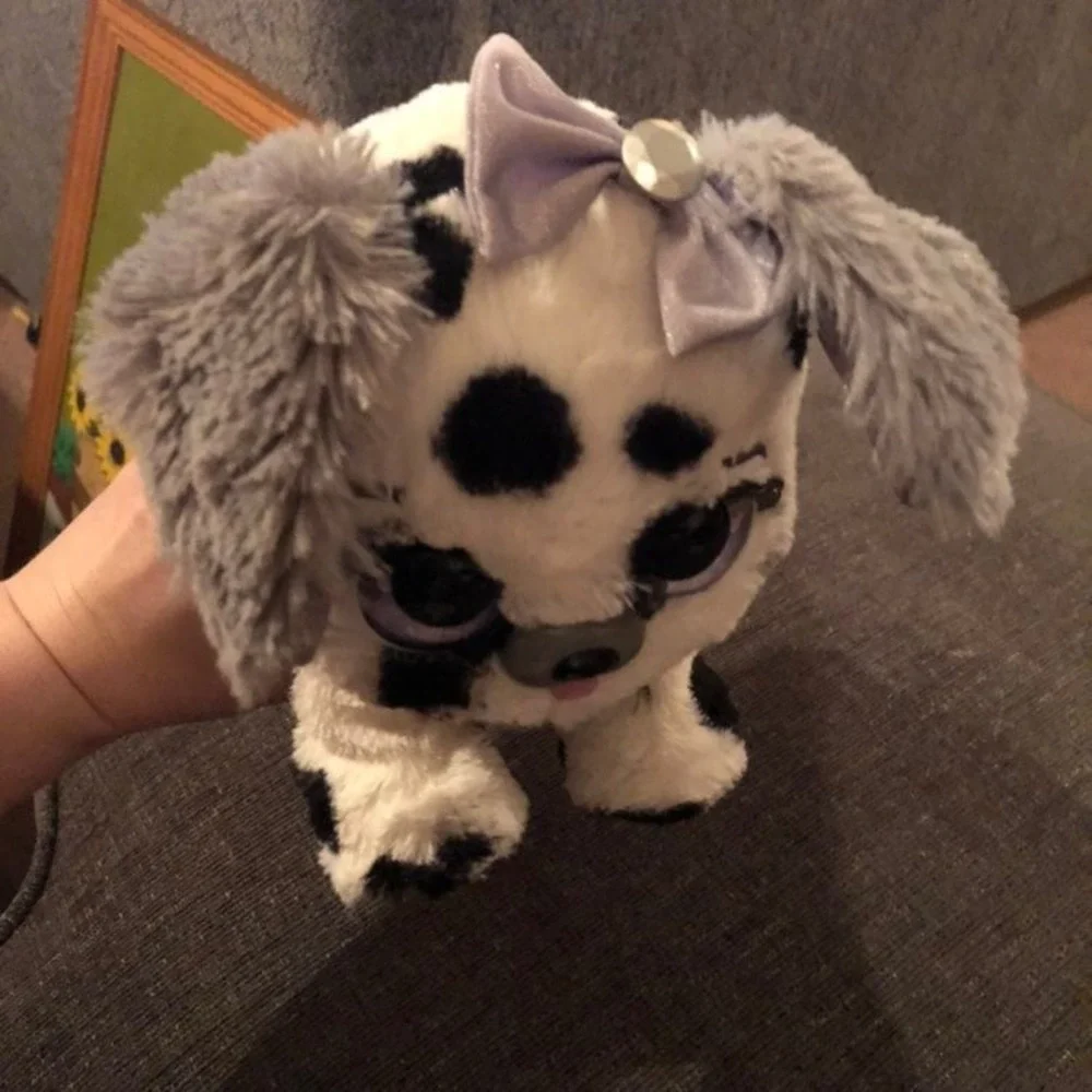 N/A present pets